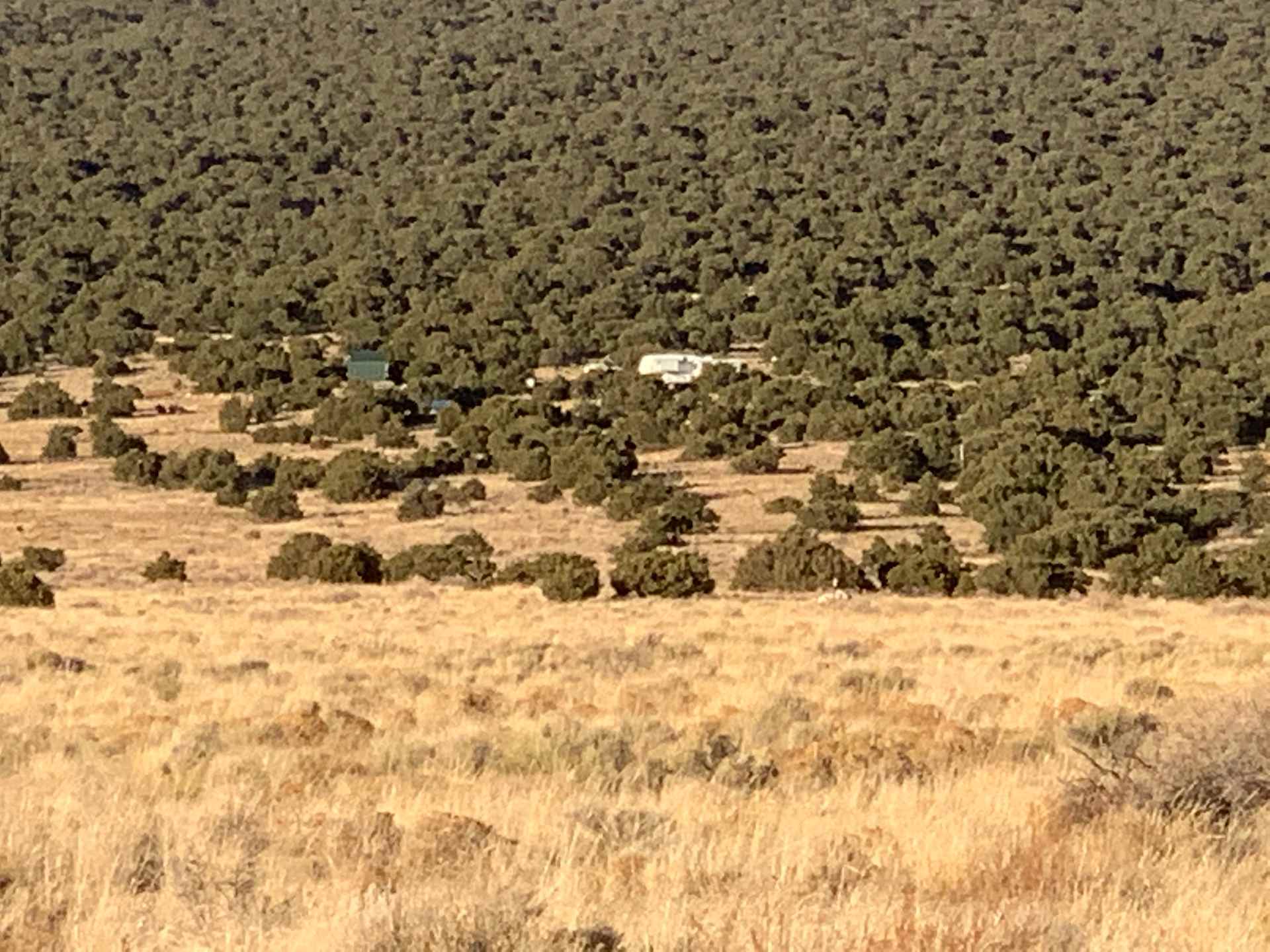 Sis Najiini Healing Ranch - Photo 2