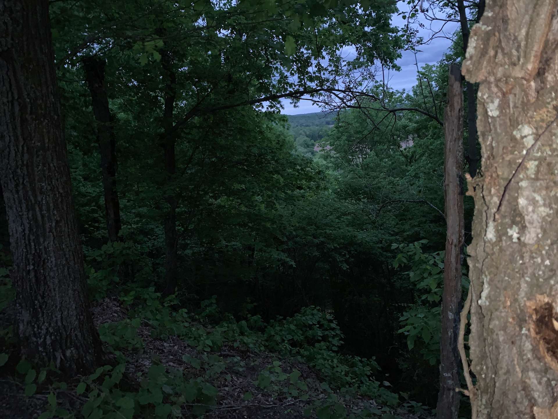 Green River Primitive - Photo 3