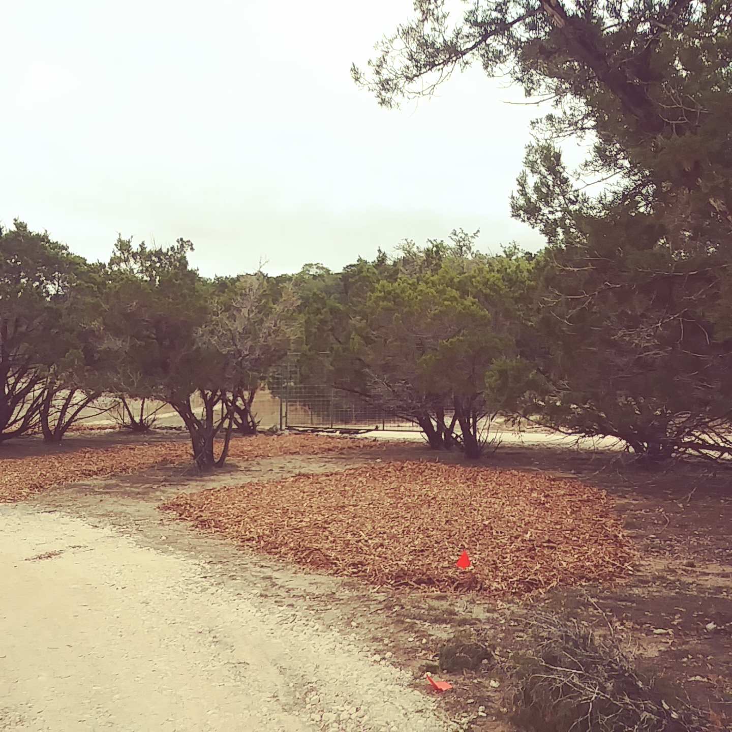 Picture of the Land