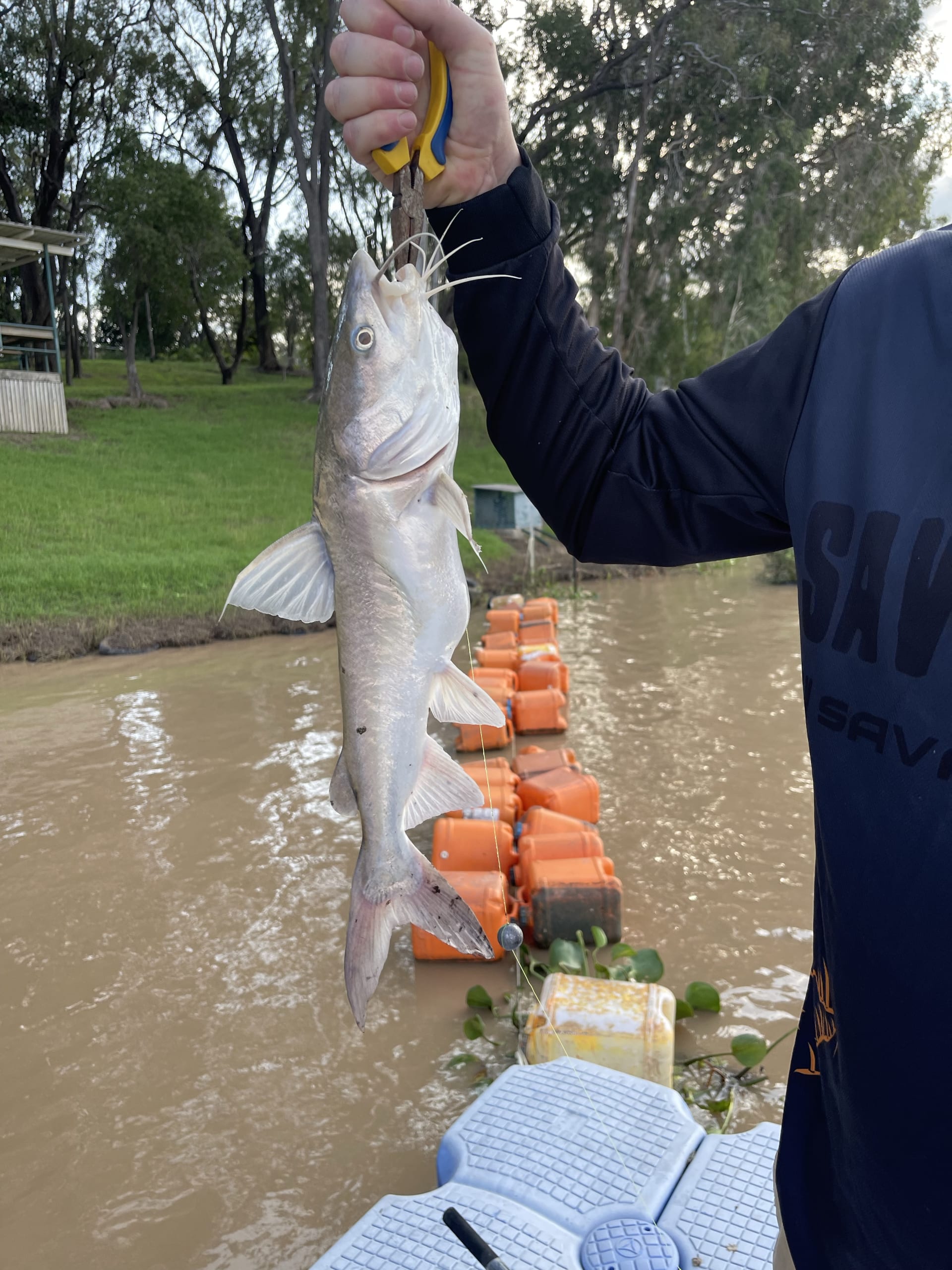 Bunya 4055, QLD, Fishing