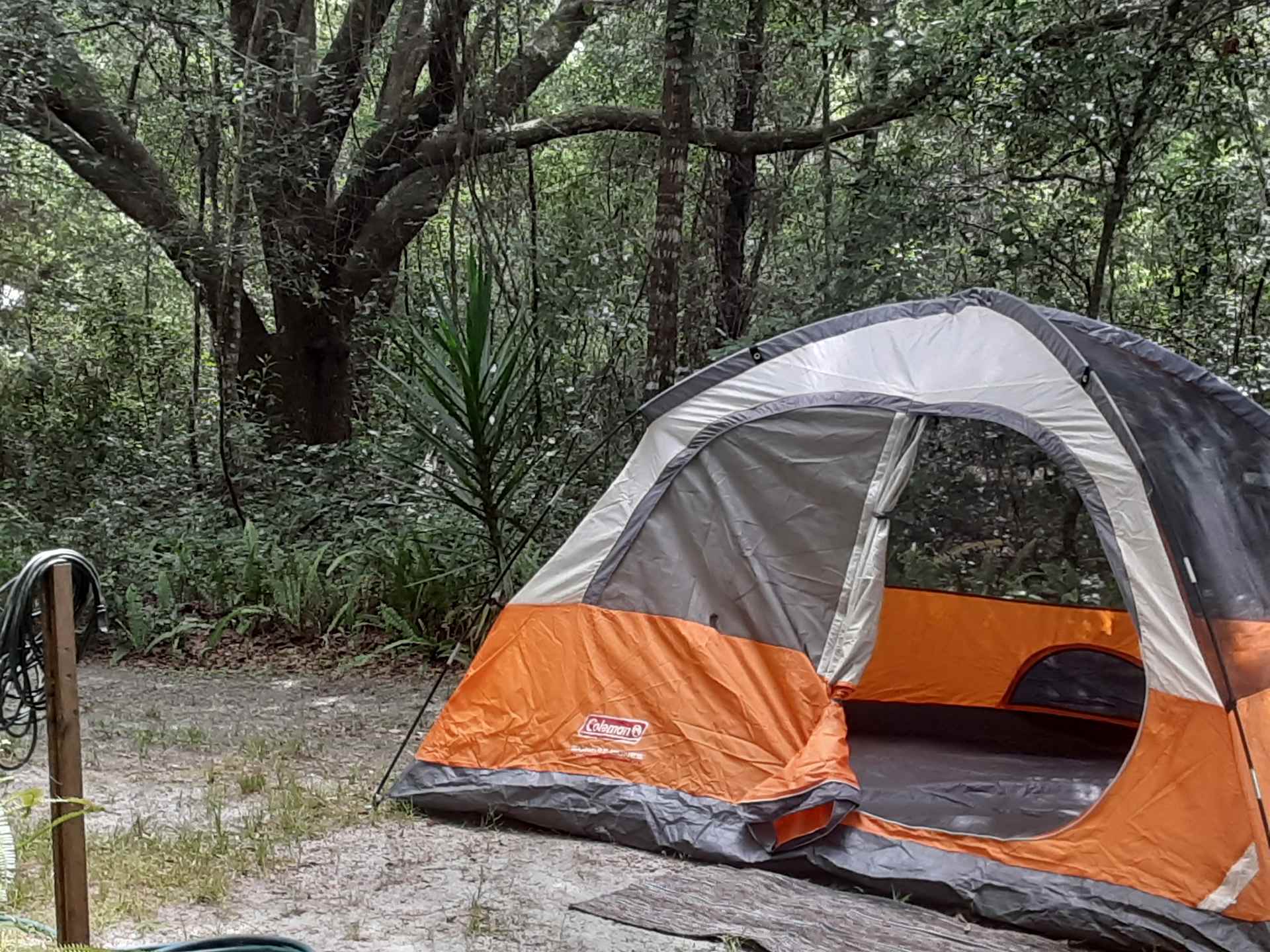 Coleman sunset dunes outlet 4 person tent