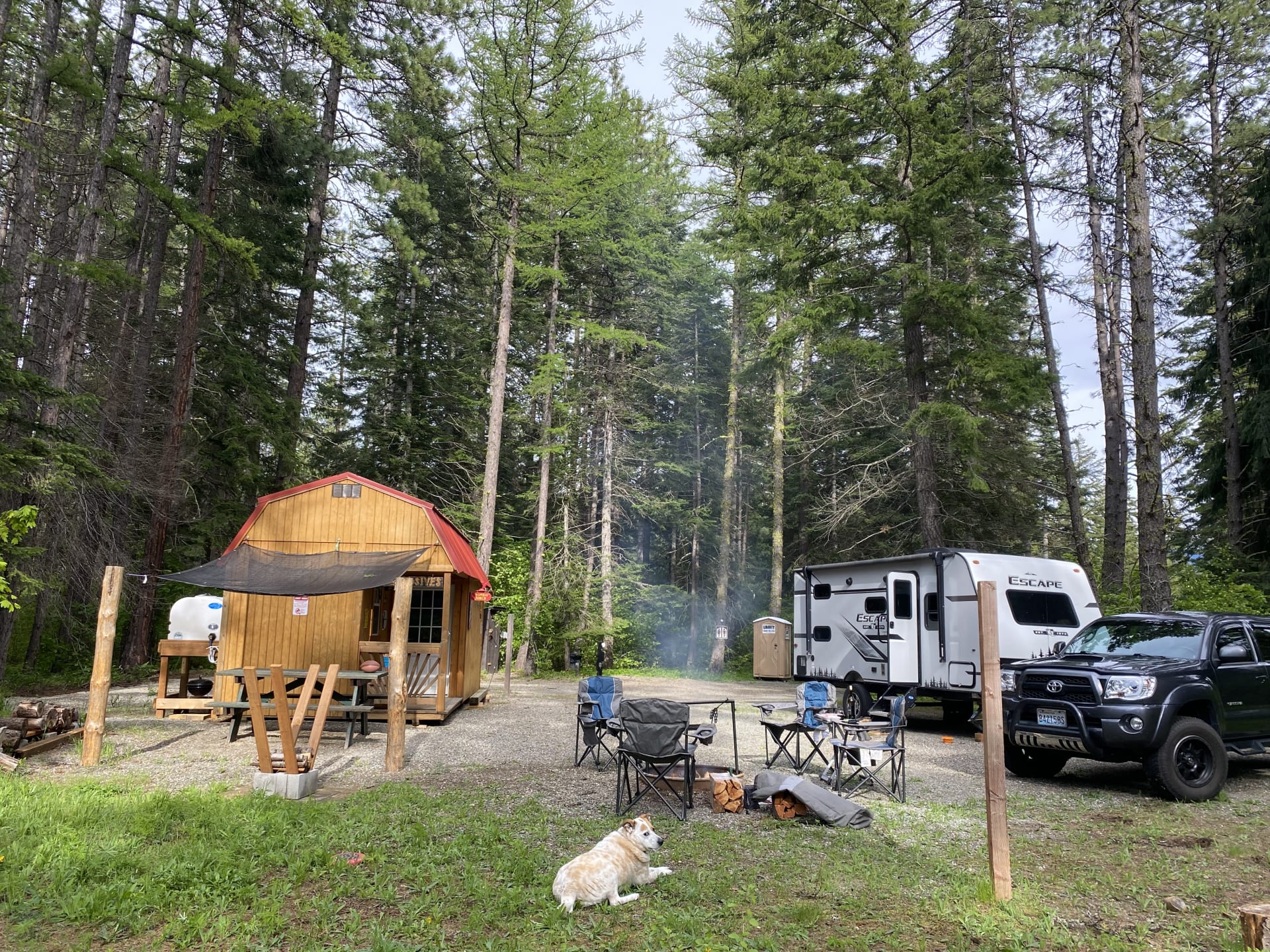 Discover the best dog-friendly campgrounds near Cle Elum, Washington