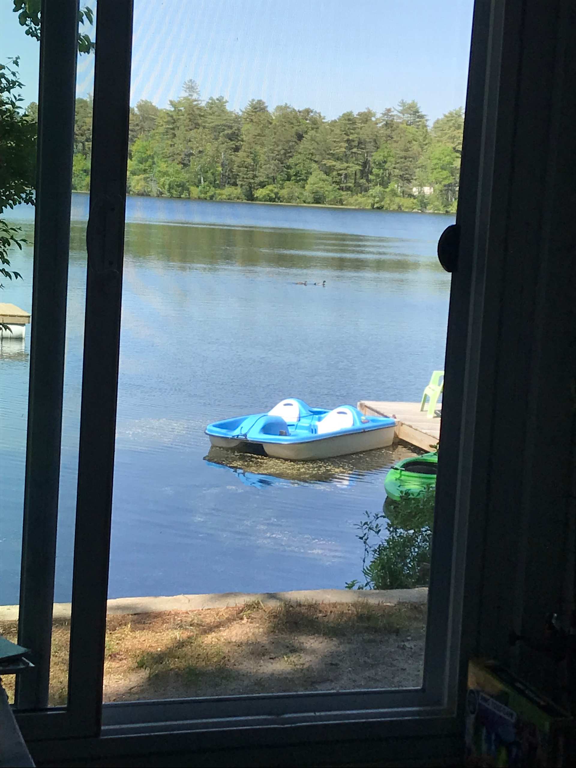 Waterfront cabin 10minutes Cape Cod