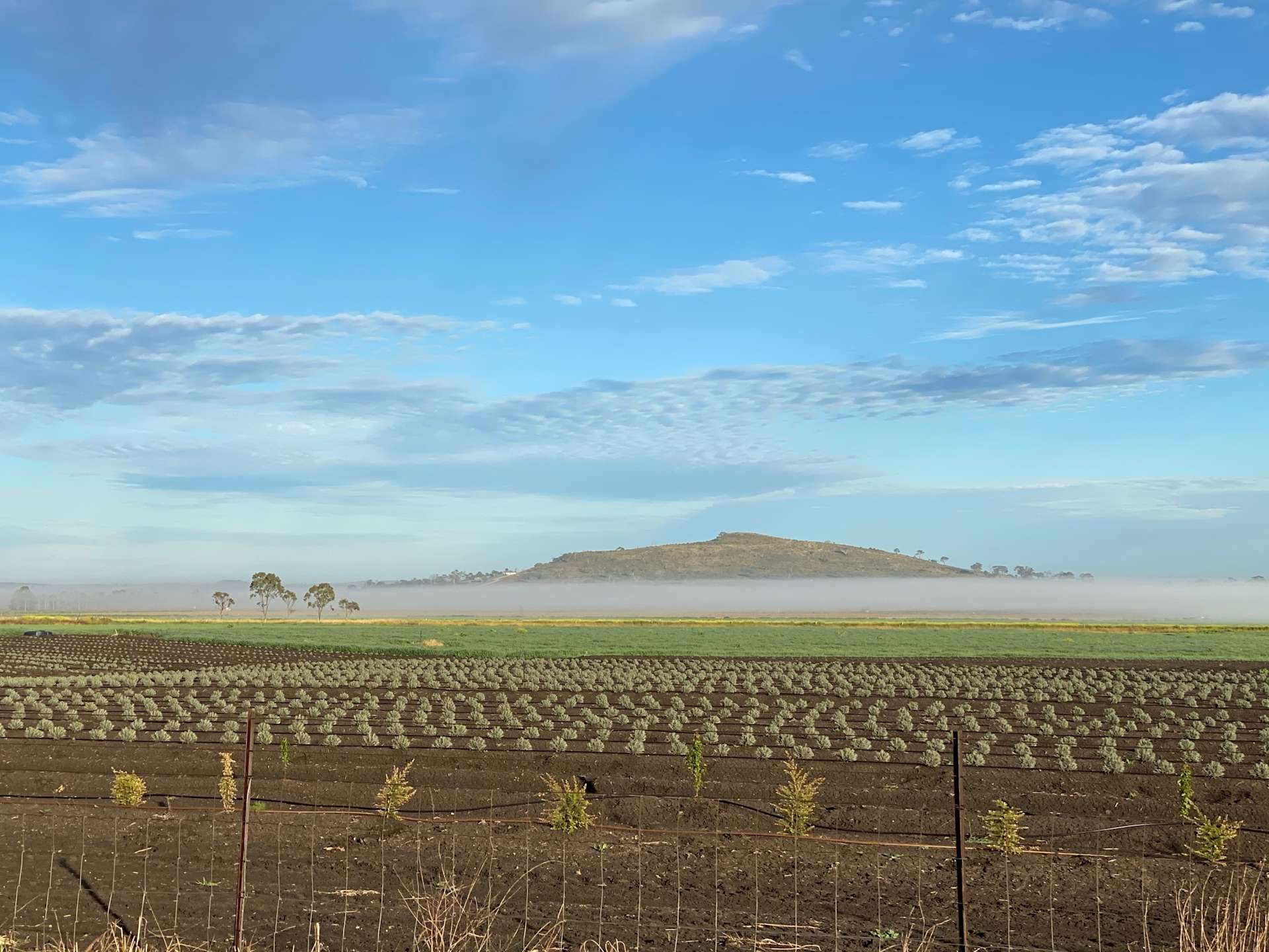 Windy Acres Farm - Photo 3