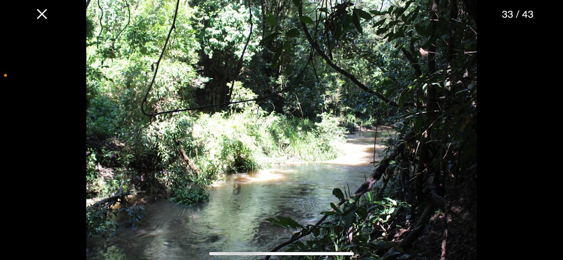 Emerald Creek Hideaway - Photo 2