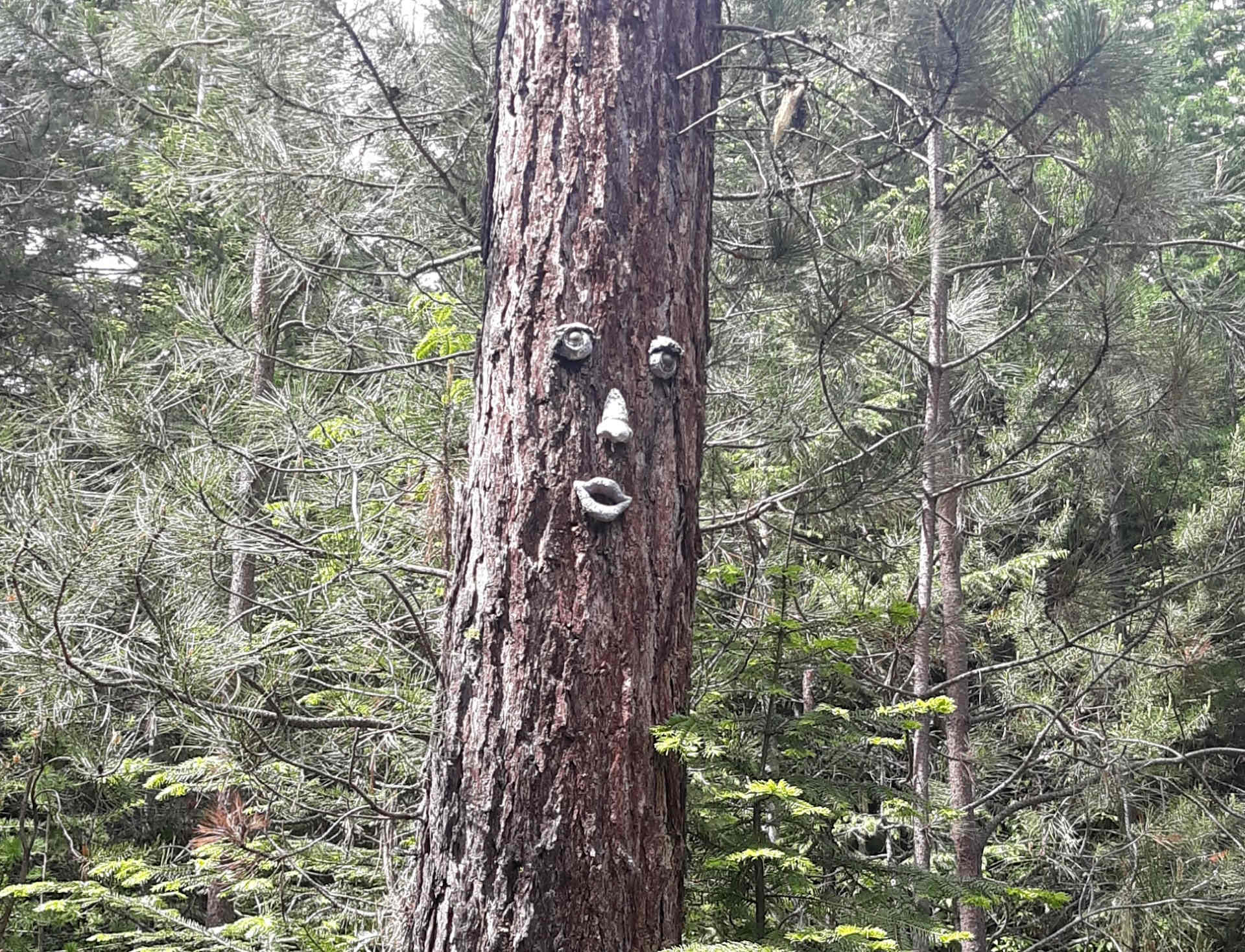 friendly trees and hidden delights to discover