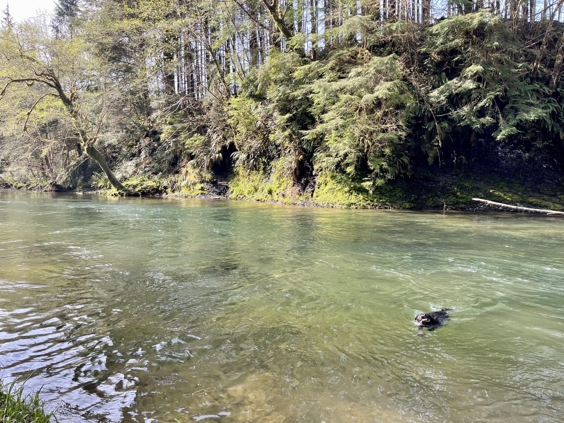 Best Camping in and near Ecola State Park