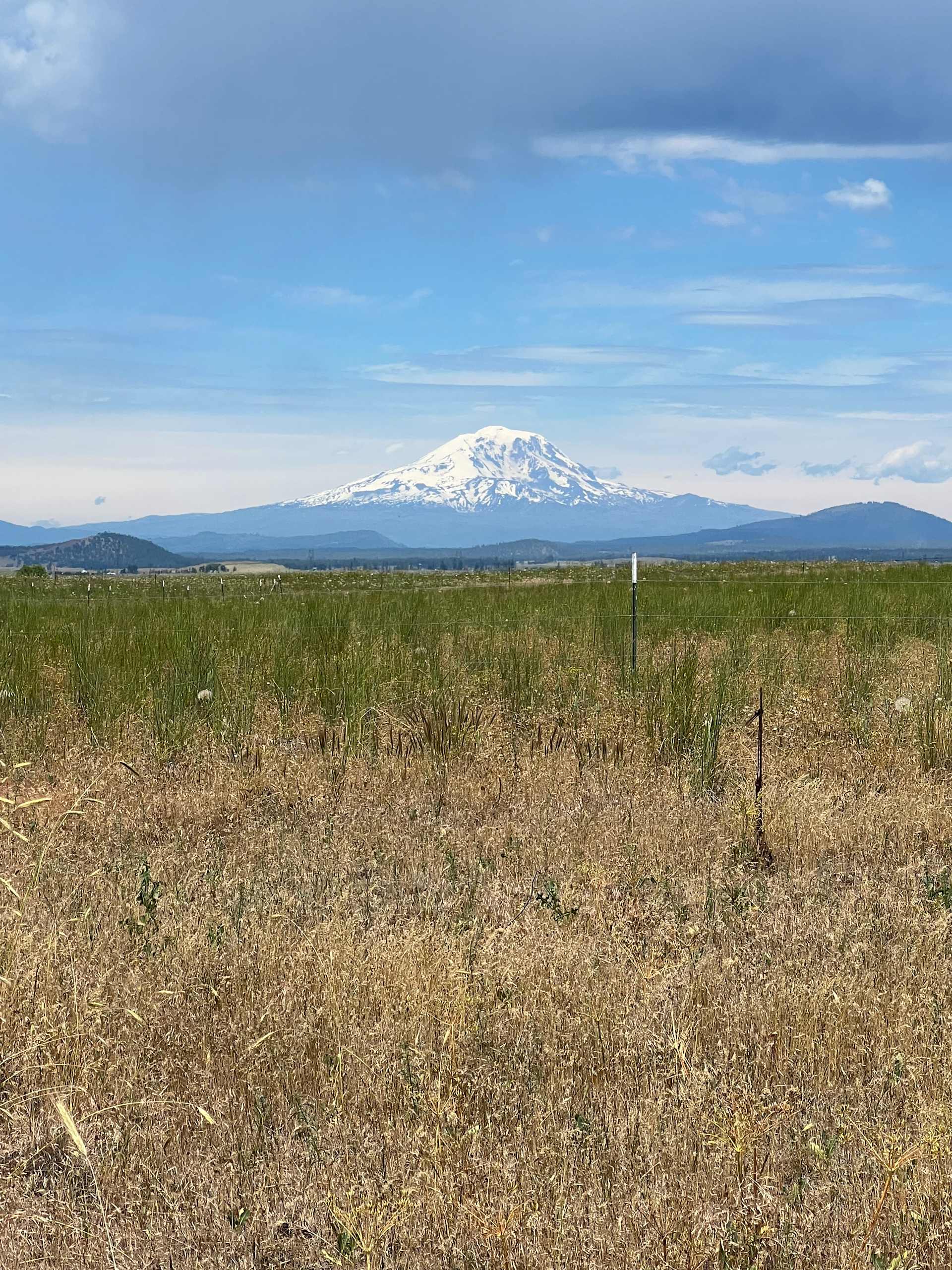 Discover the best campgrounds near John Day, Oregon with campfires