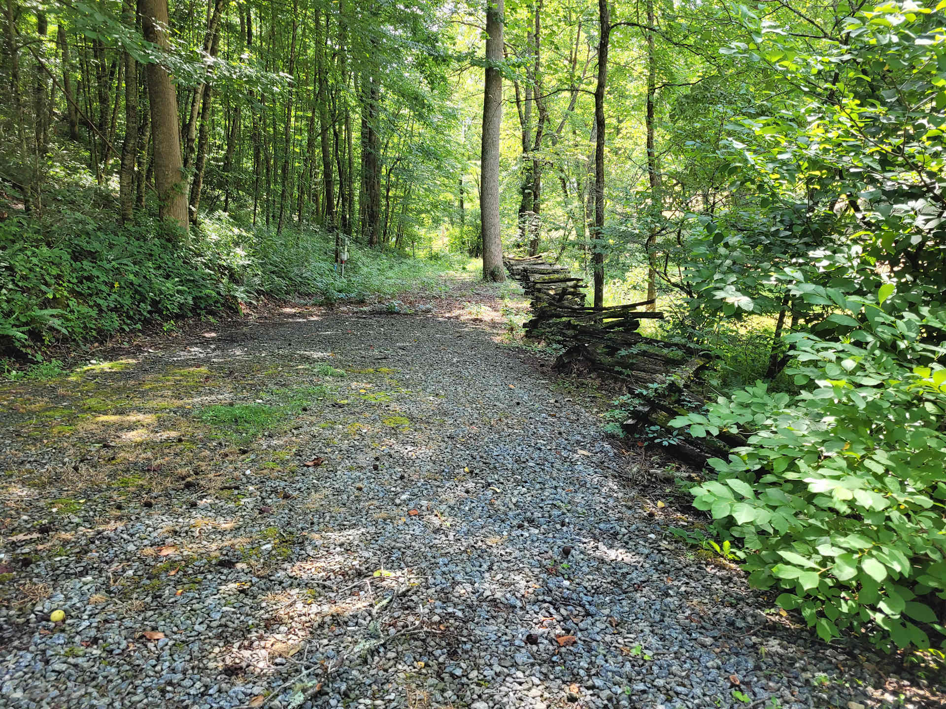 RV w hookups 35 acres hike & fish - Photo 3