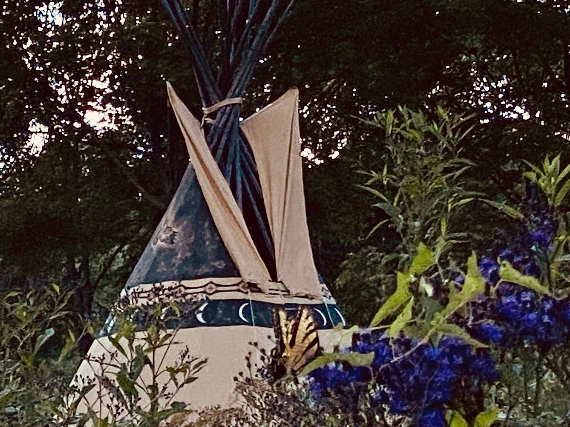 Nature abounds