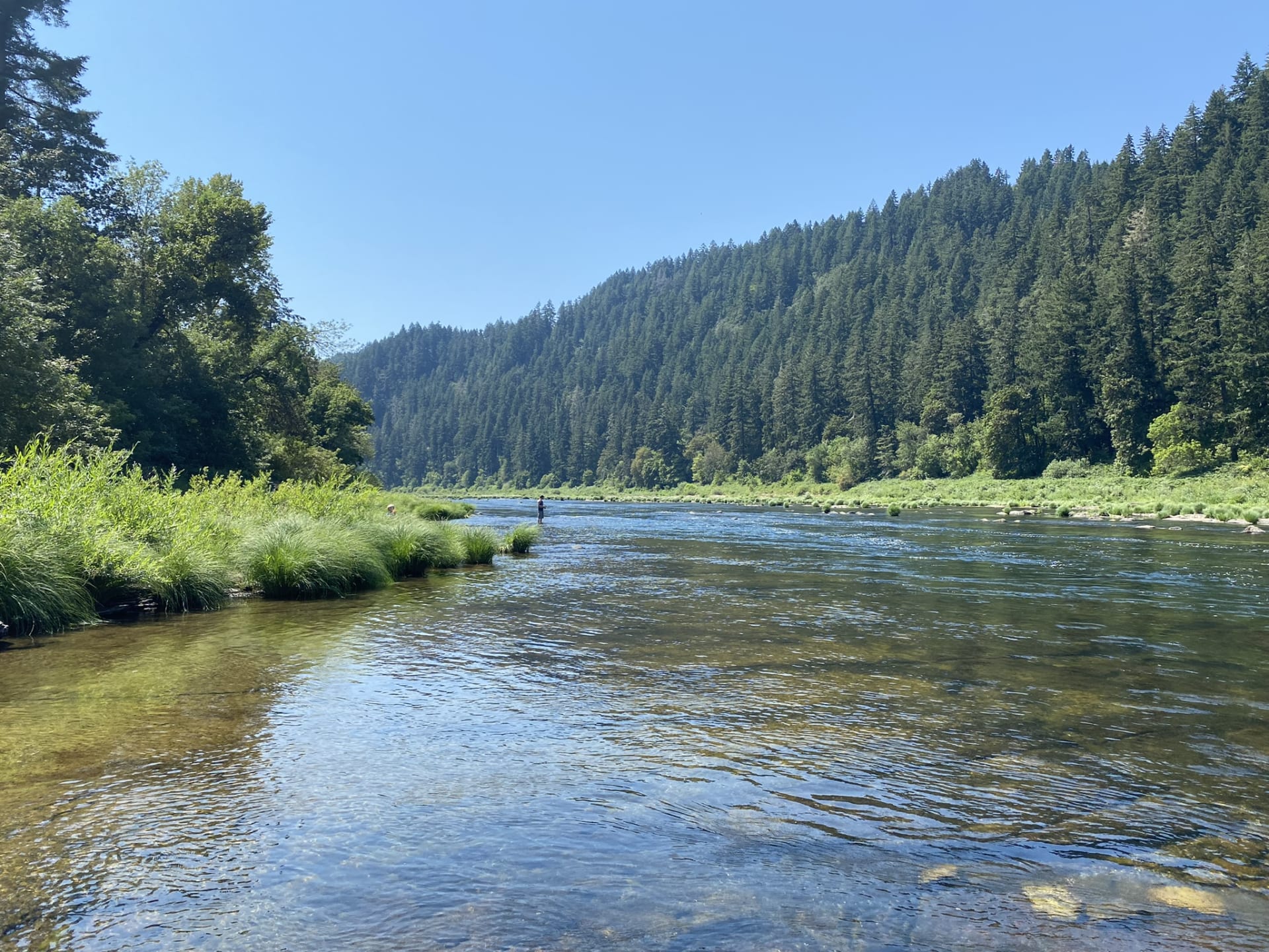 Fly Fishing Idaho's South Fork CDA River in July-Trailer for Prime