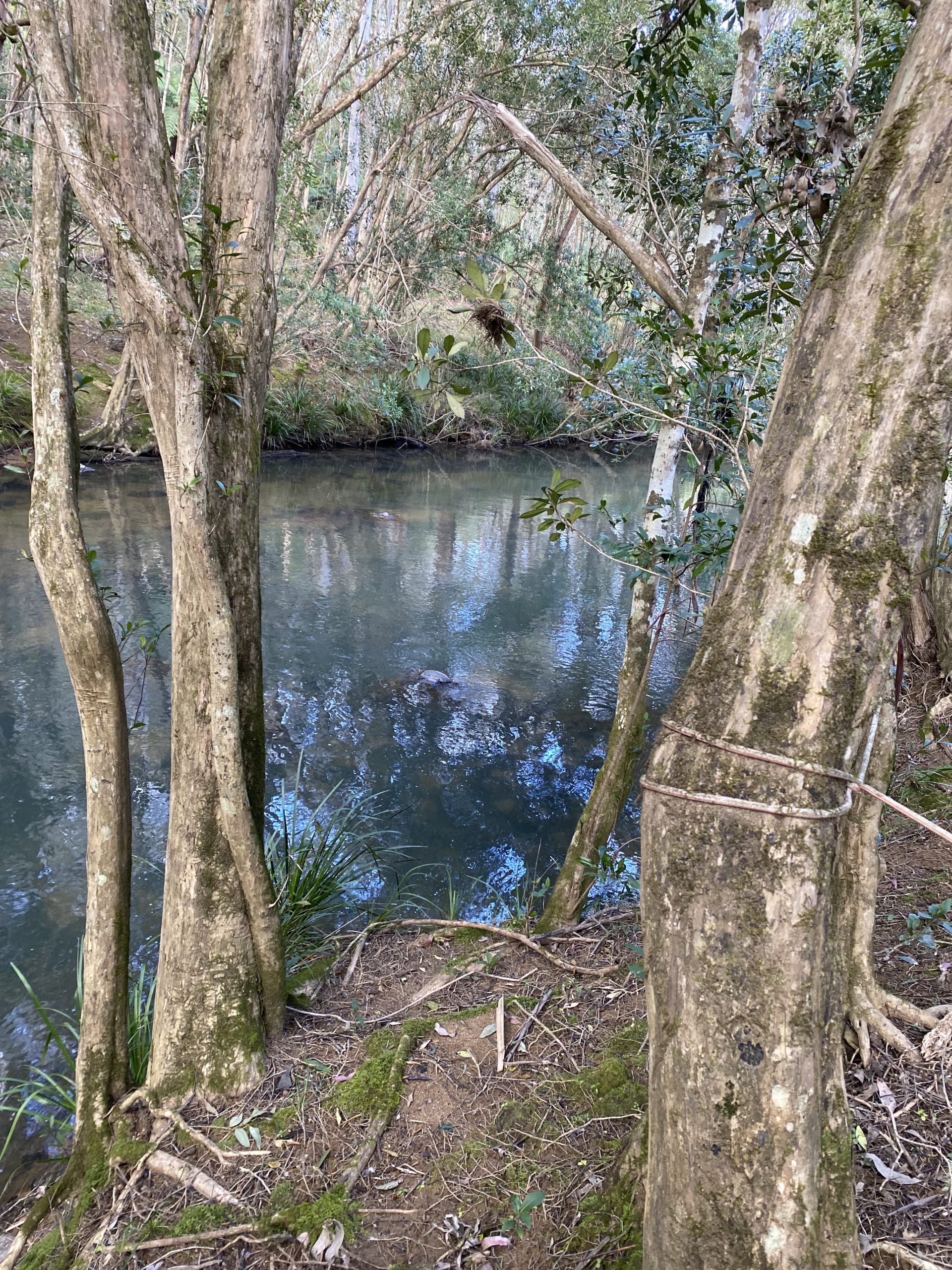 The river at 'the river flat'