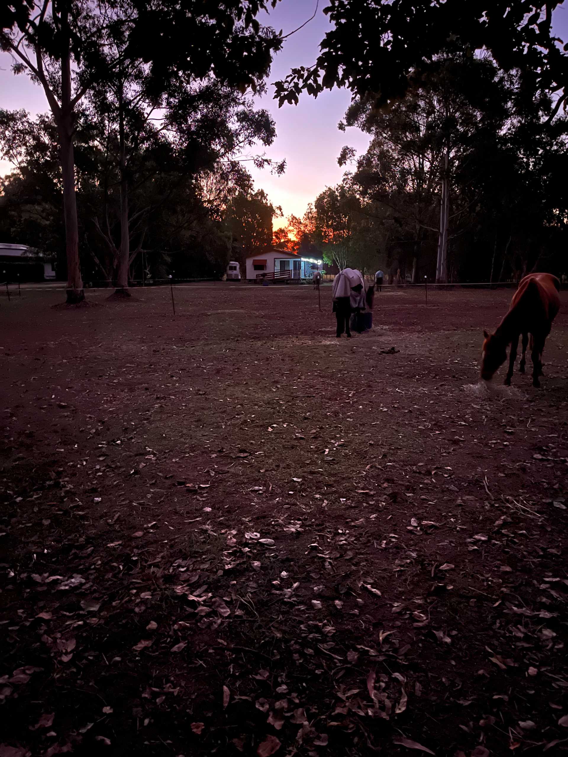 Discover the best waterside campgrounds near Esk, Queensland with fishing