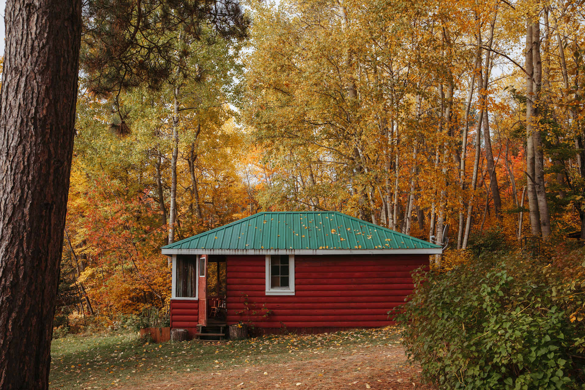 Temagami Outpost - Photo 2