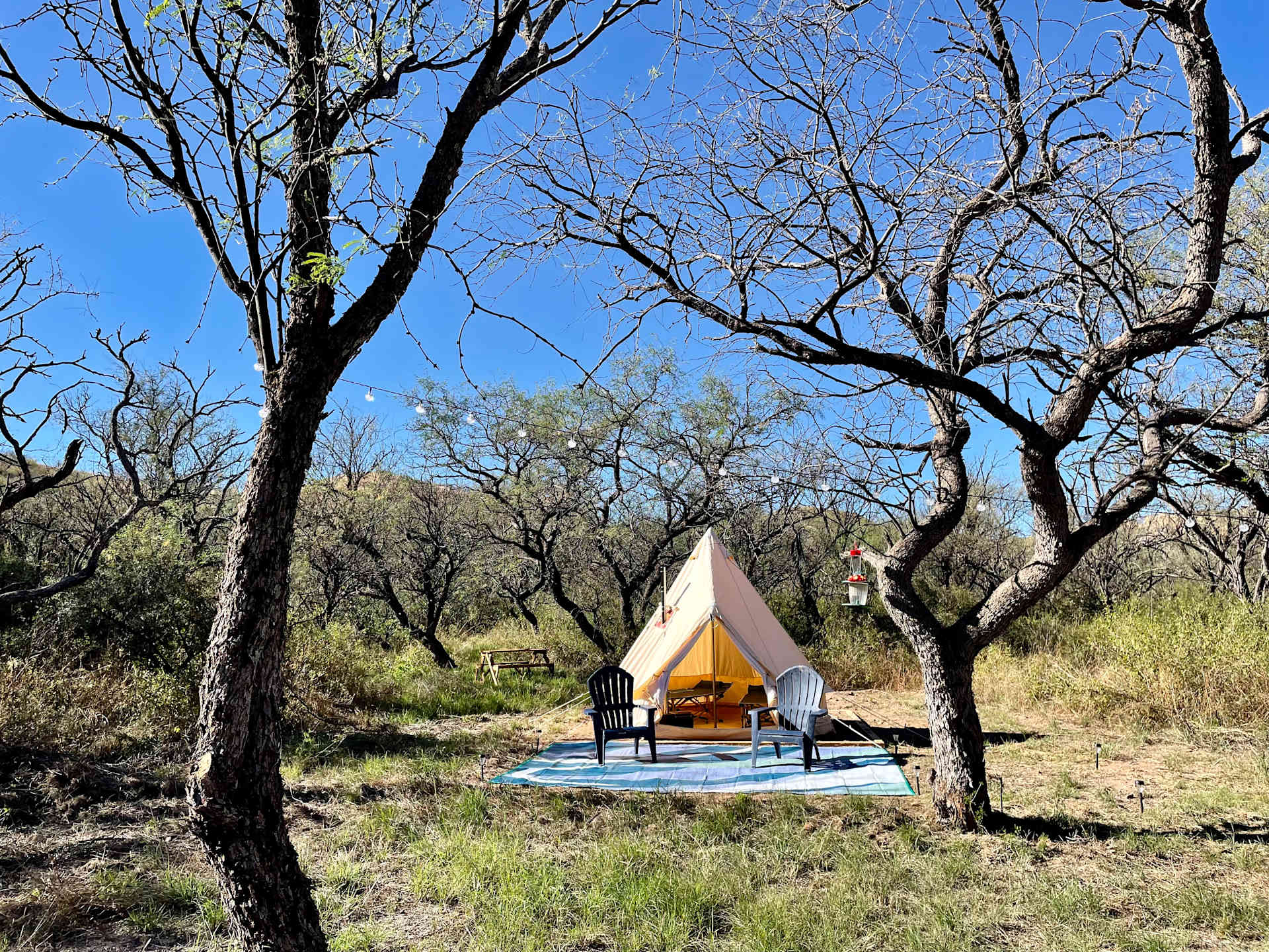 Discover the best campgrounds near Tucson, Arizona with swimming