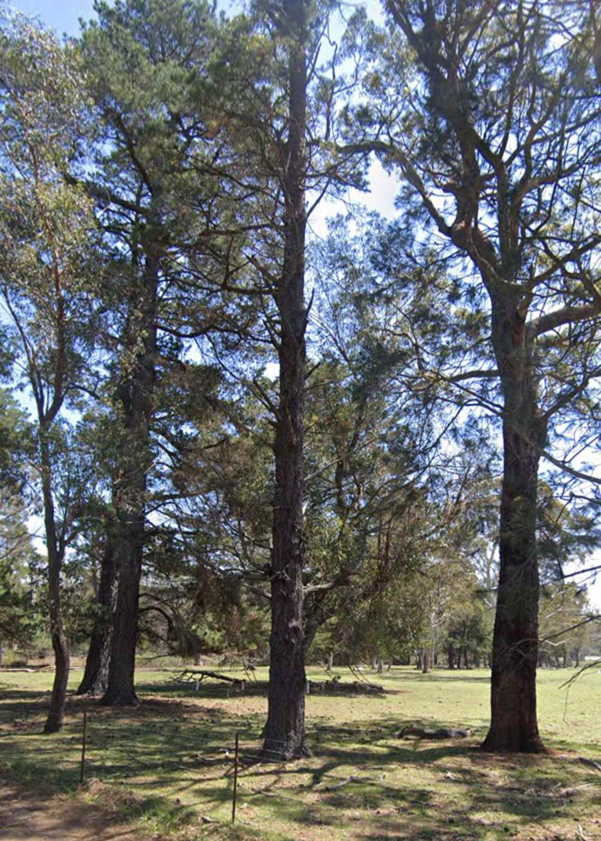 Picture of the Land