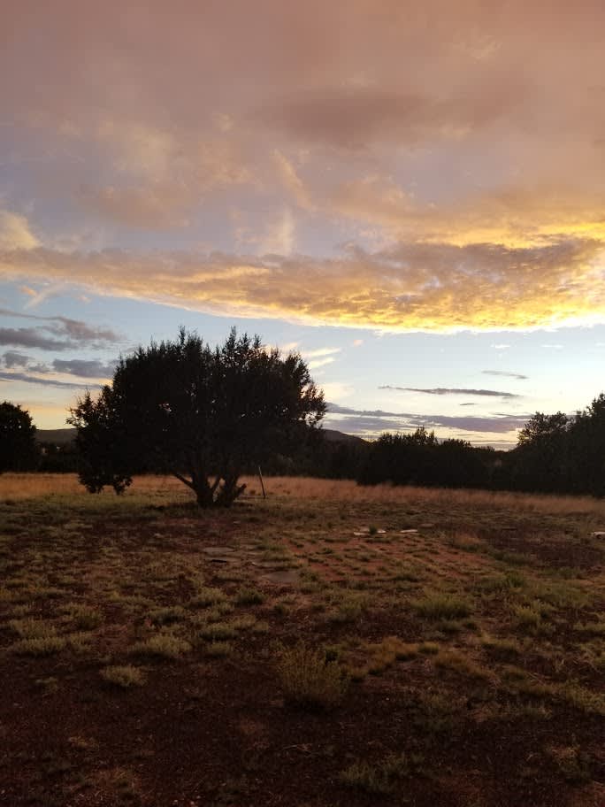 Picture of the Land