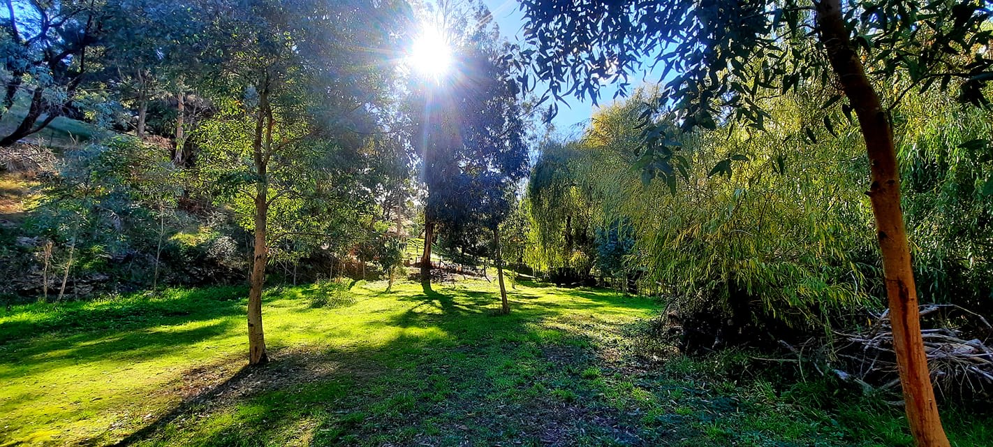 Picture of the Land