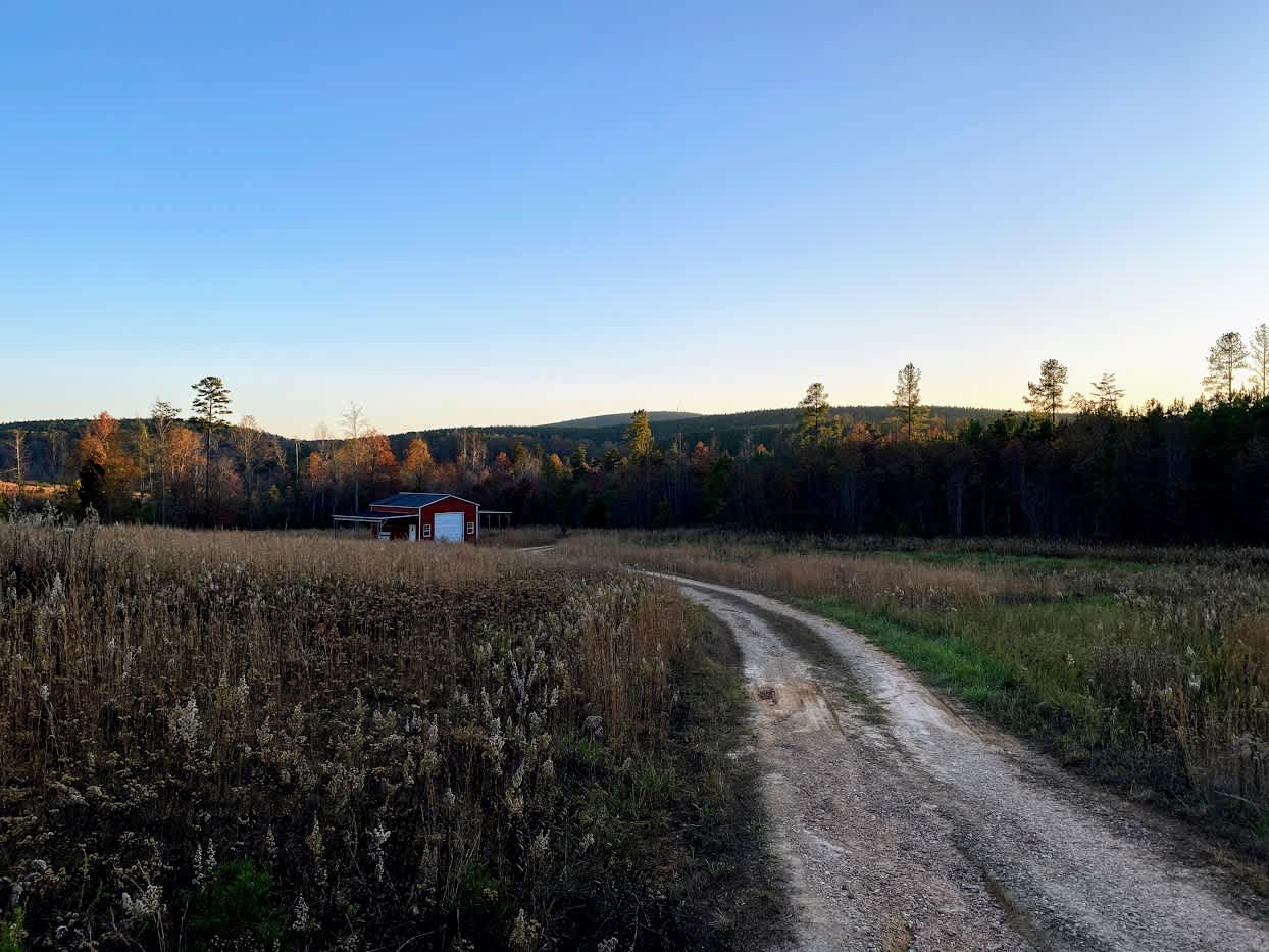 Picture of the Land