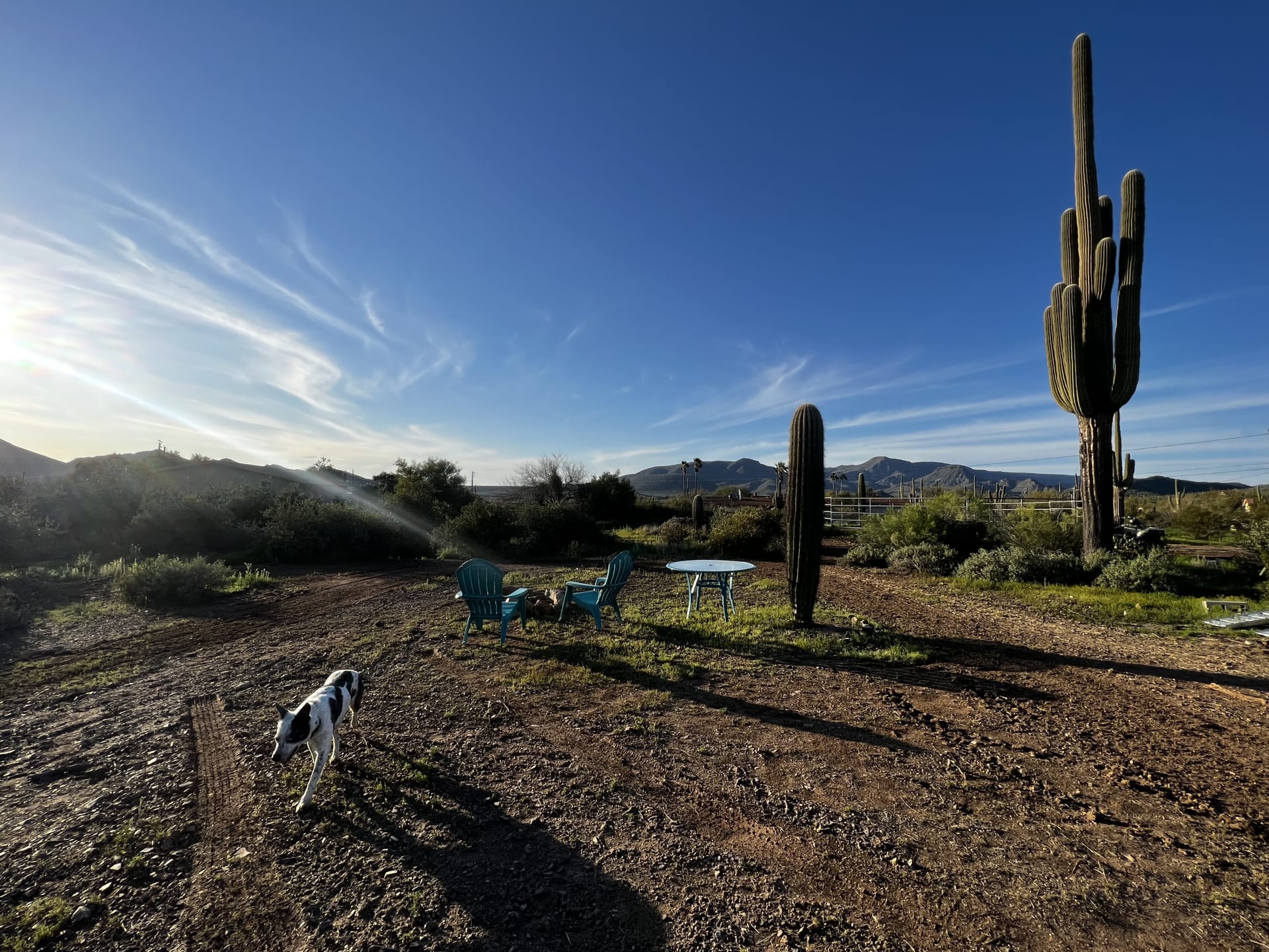 Camping in Phoenix, AZ, US: 12 Best Campgrounds 2024 | Hipcamp