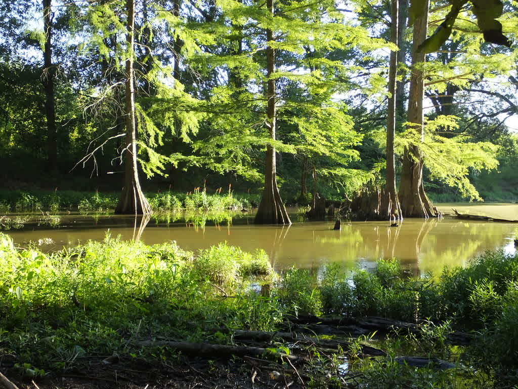 Mingo National Wildlife Refuge
