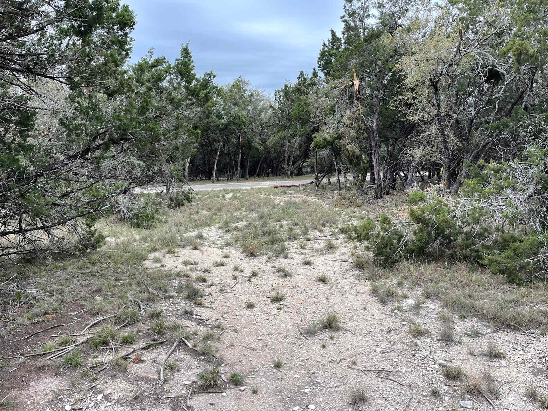 Hill Country Coyote Trails - Photo 3