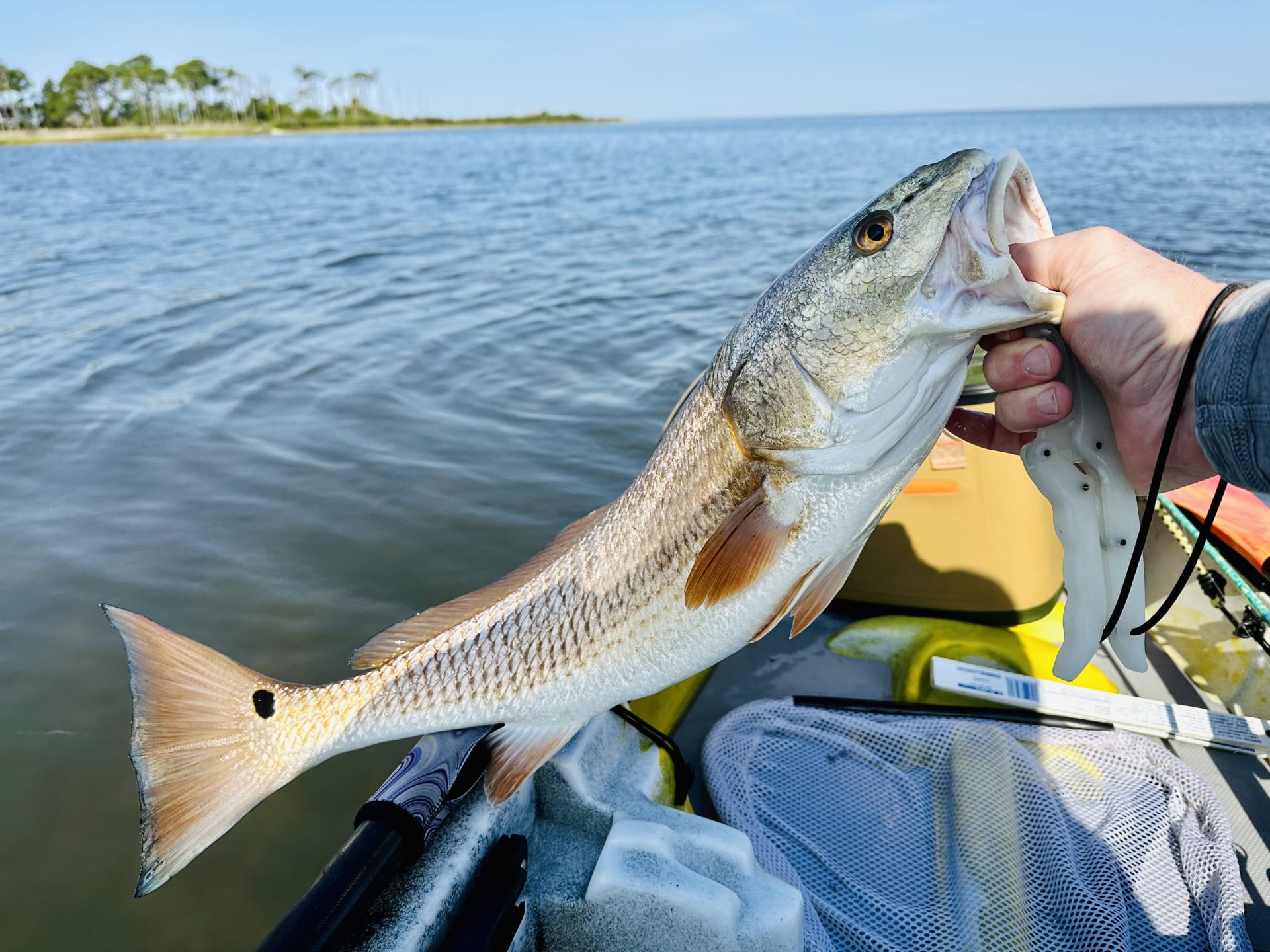 Discover the best campgrounds near Carrabelle, Florida with fishing