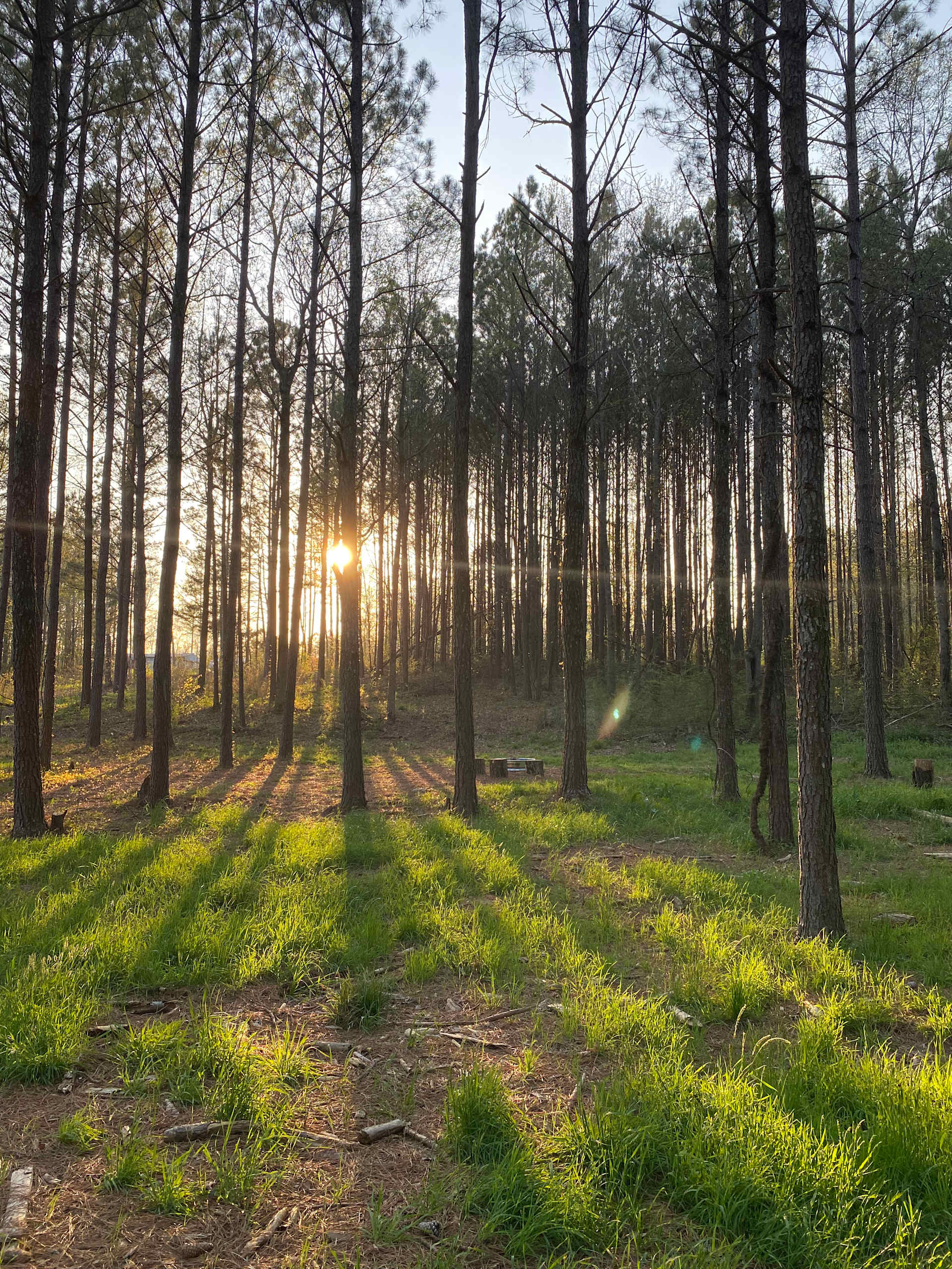Camping on the farm in Ocoee - Photo 2