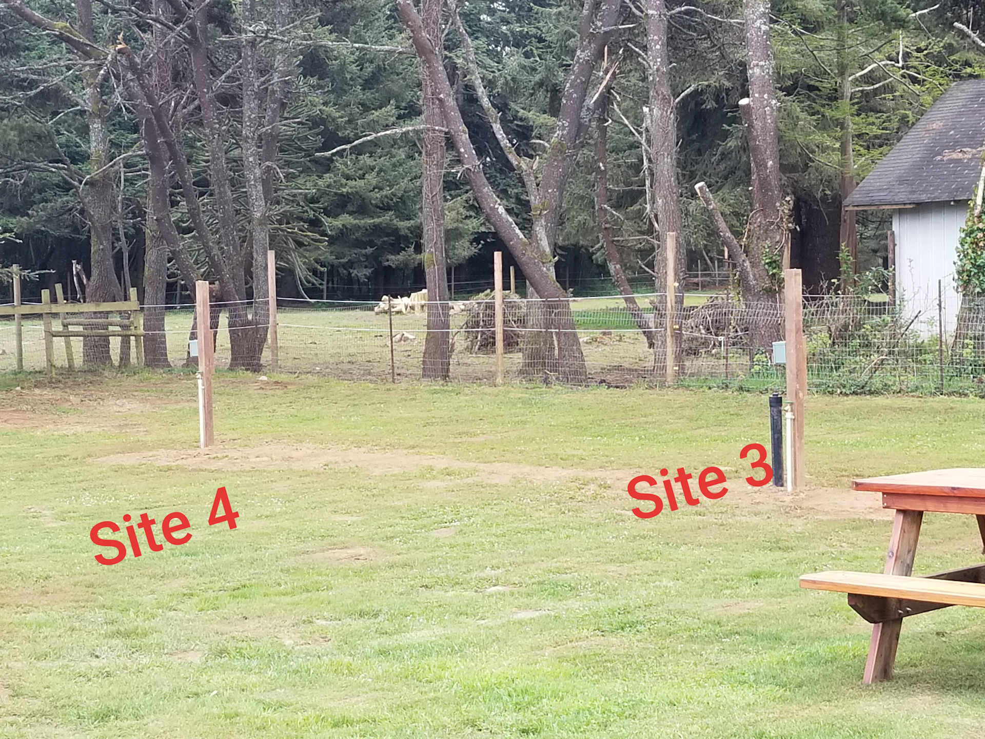 Lower Lake Farm Camp