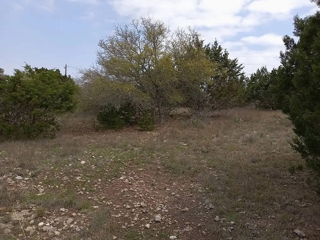 Roughin' It Camp Site - Photo 2