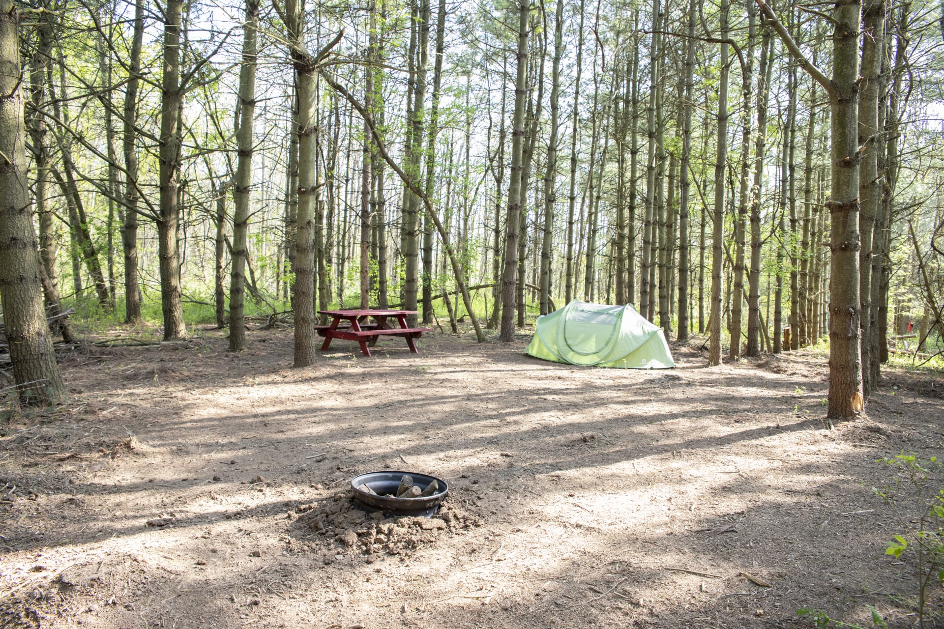 camping algonquin park