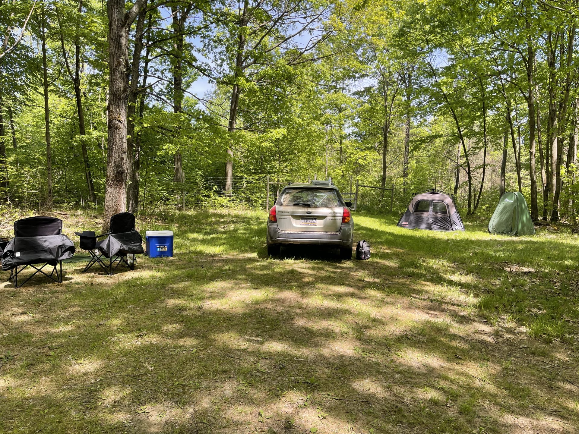 Best Camping in and near Allegheny National Forest