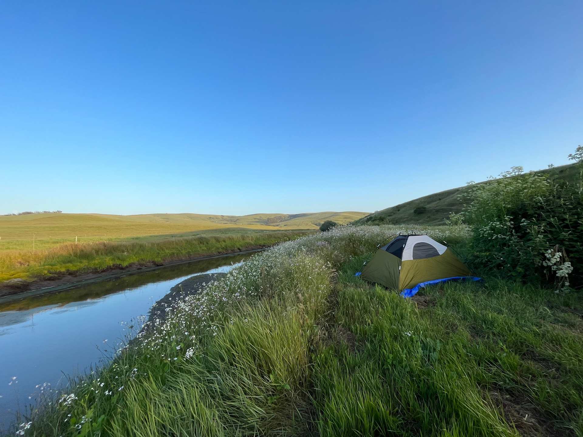 Estero San Antonio Wonderland