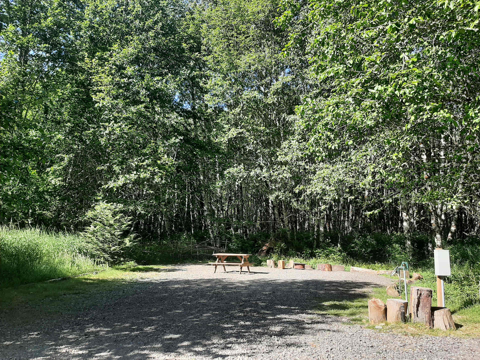 Shangri La Push