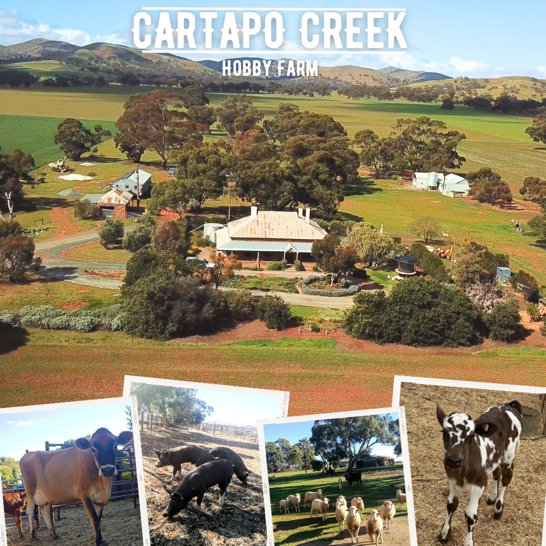 Cartapo Creek - Hobby Farm - Photo 3
