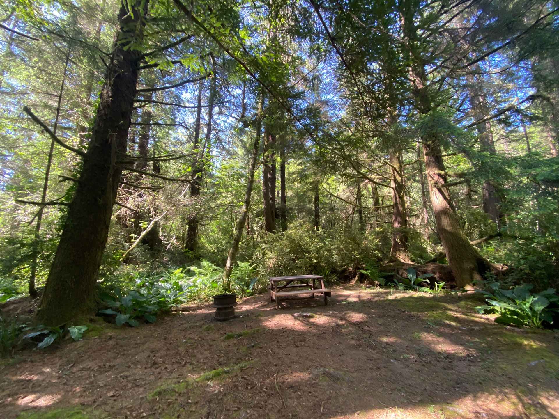 Mystic Forest Campground