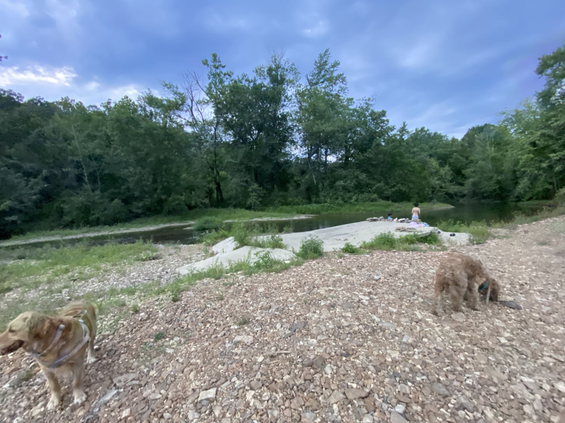 se permiten perros en los parques estatales de missouri stzte park campgrounds