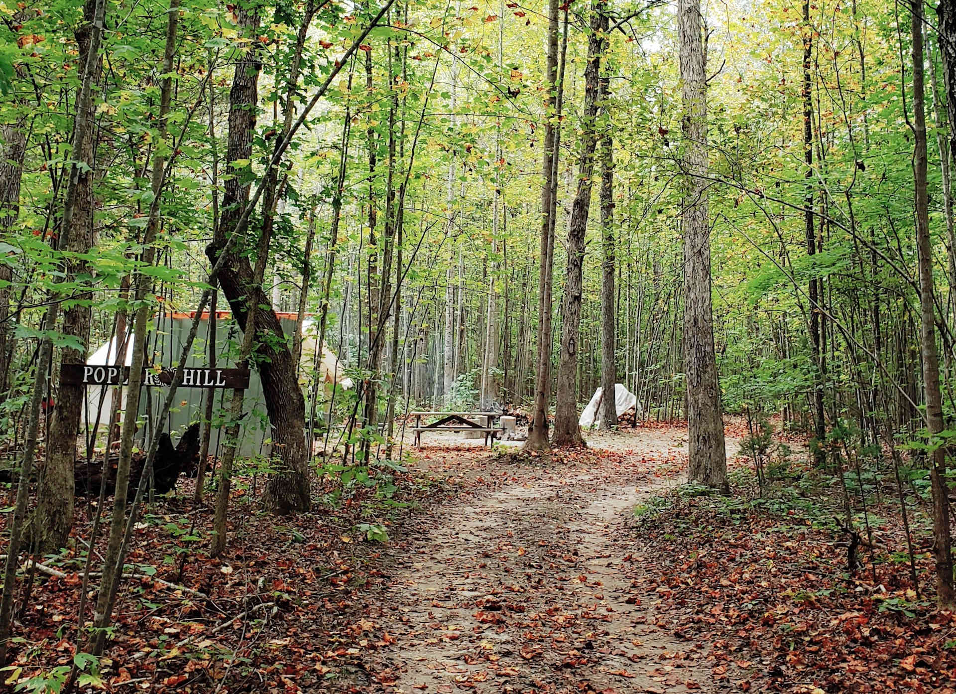 ThorneBrook Farms Camping! - Hipcamp in Cumberland, Virginia