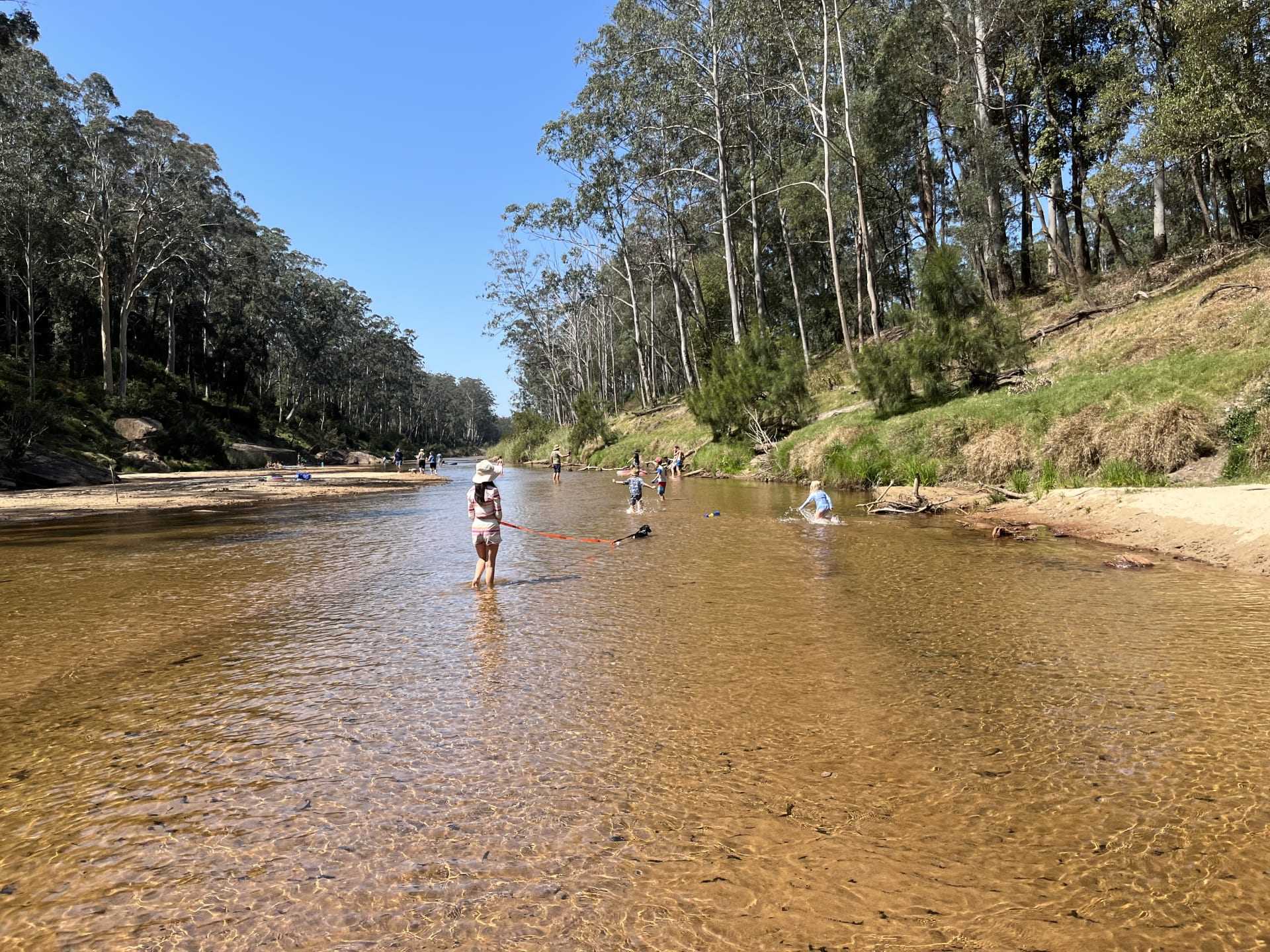 Best Camping in and near Avoca Beach