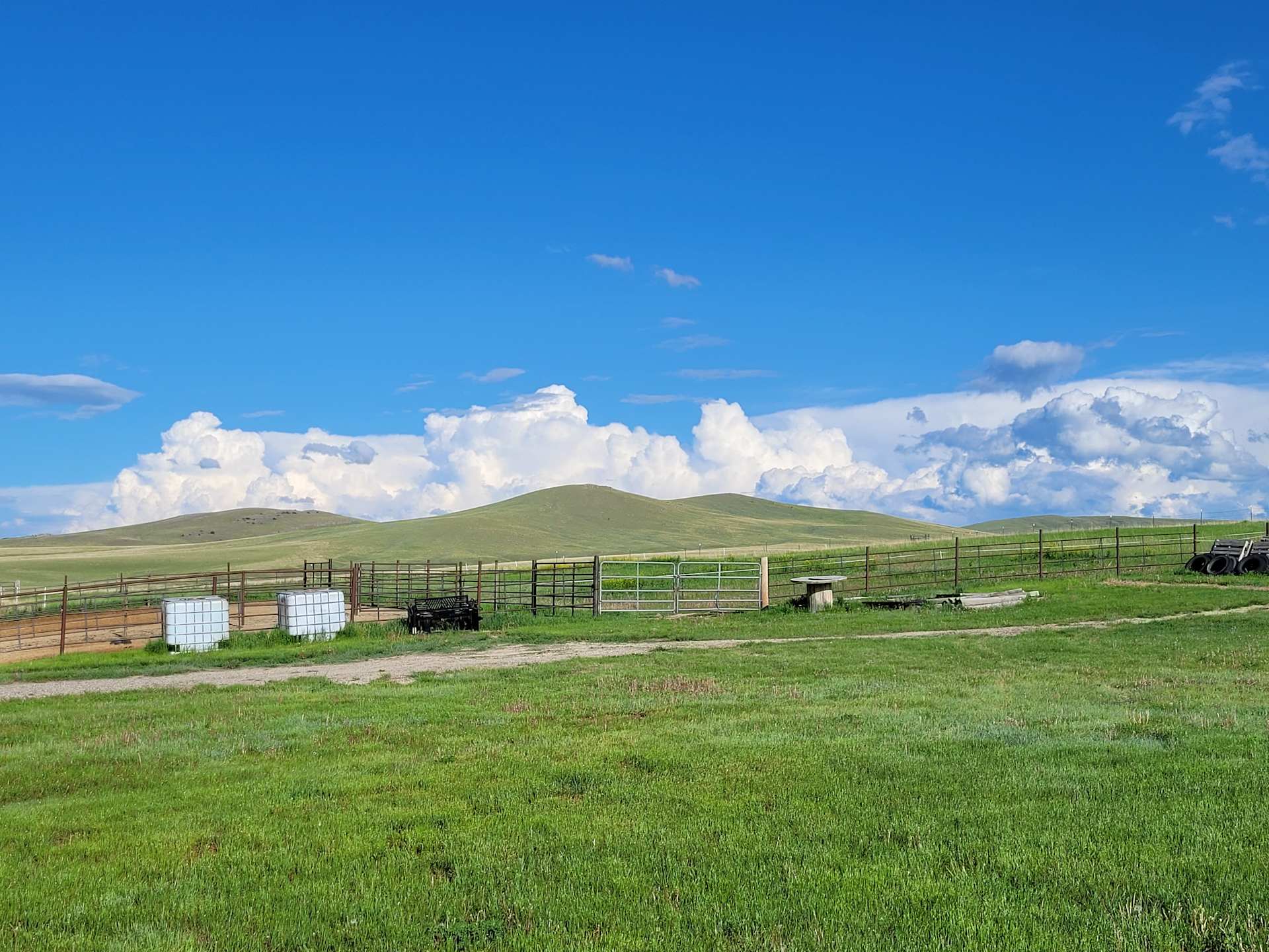 Davis Ranch - Photo 3