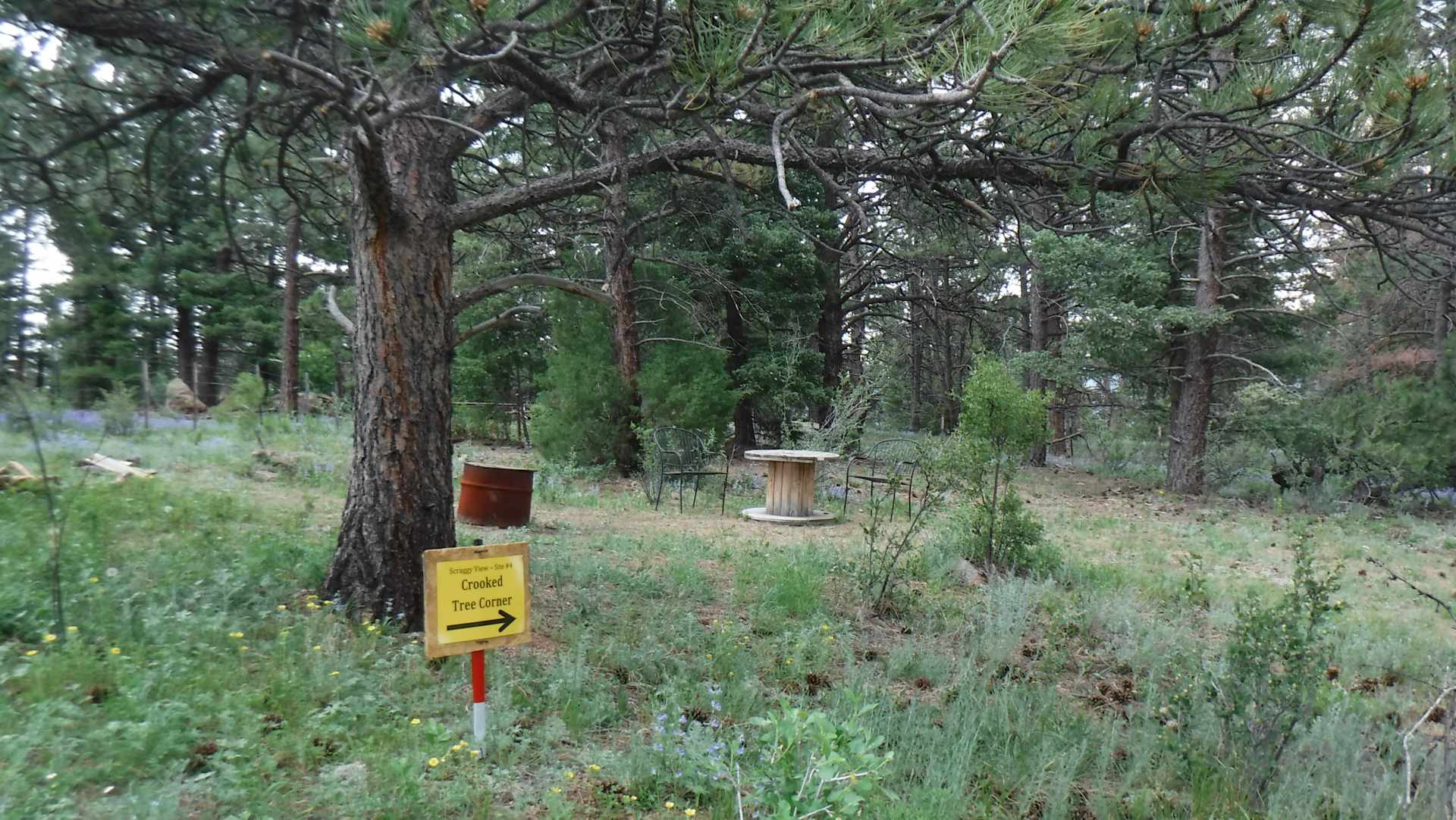 Picture of the site