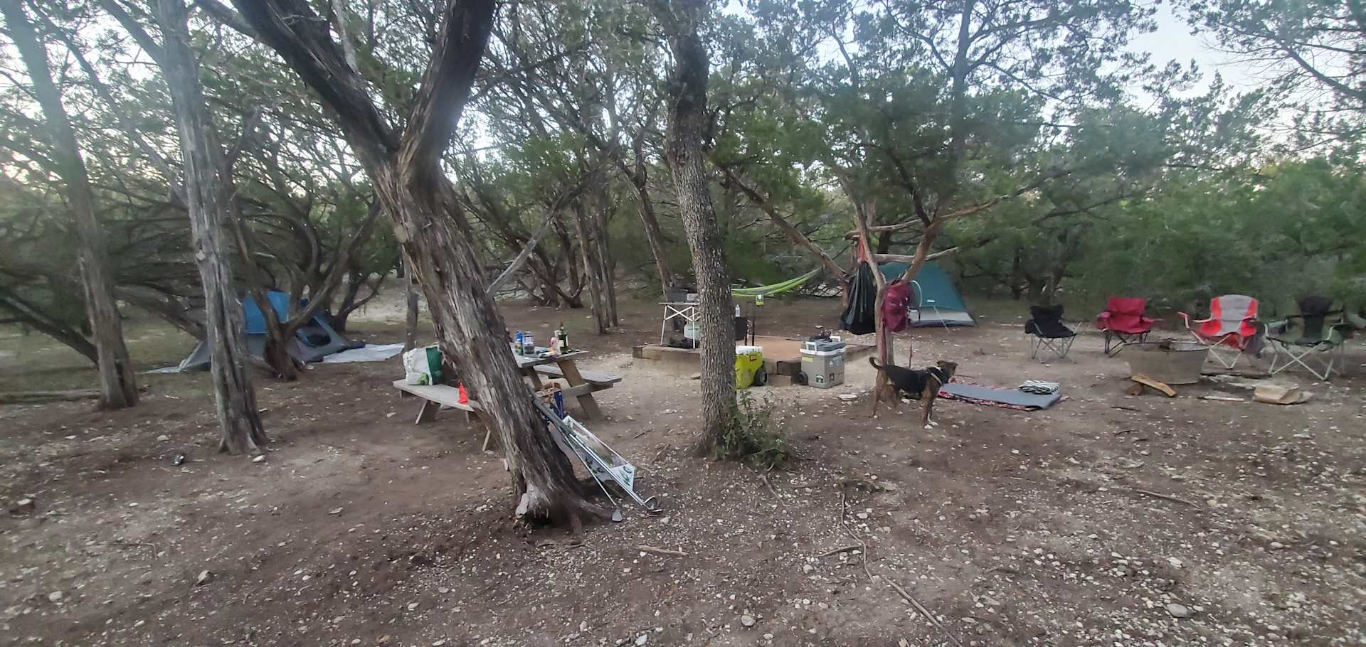 Picture of the site