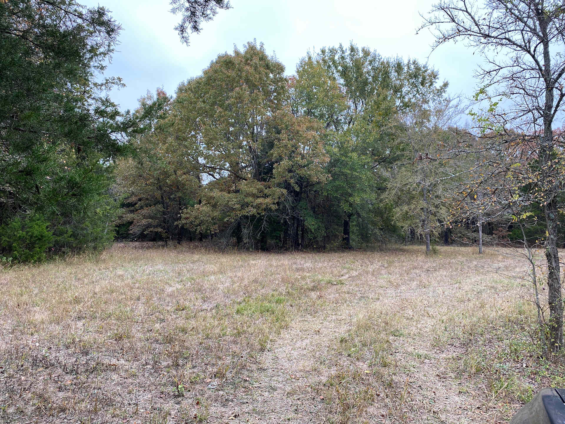 Robinson hideaway - Photo 2