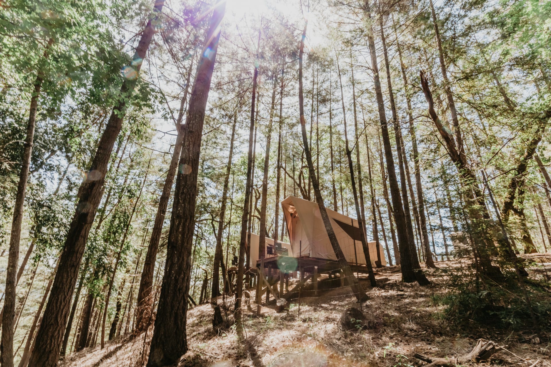 The Catskills Just Got a Super-luxe Campground — With Hammocks, Outdoor  Kitchens, and Hot Showers