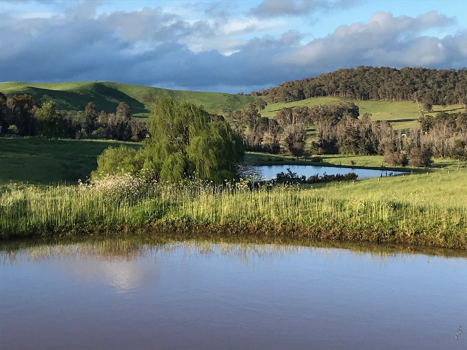 Wild Fig Farm - Photo 2