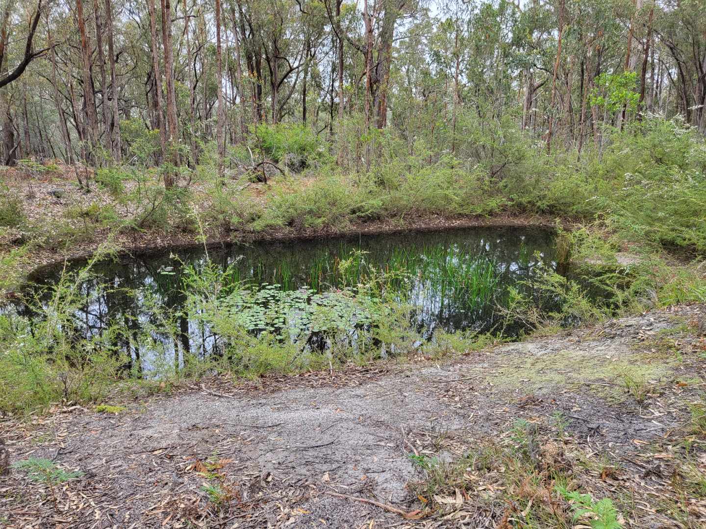 Shady Acres - Photo 2