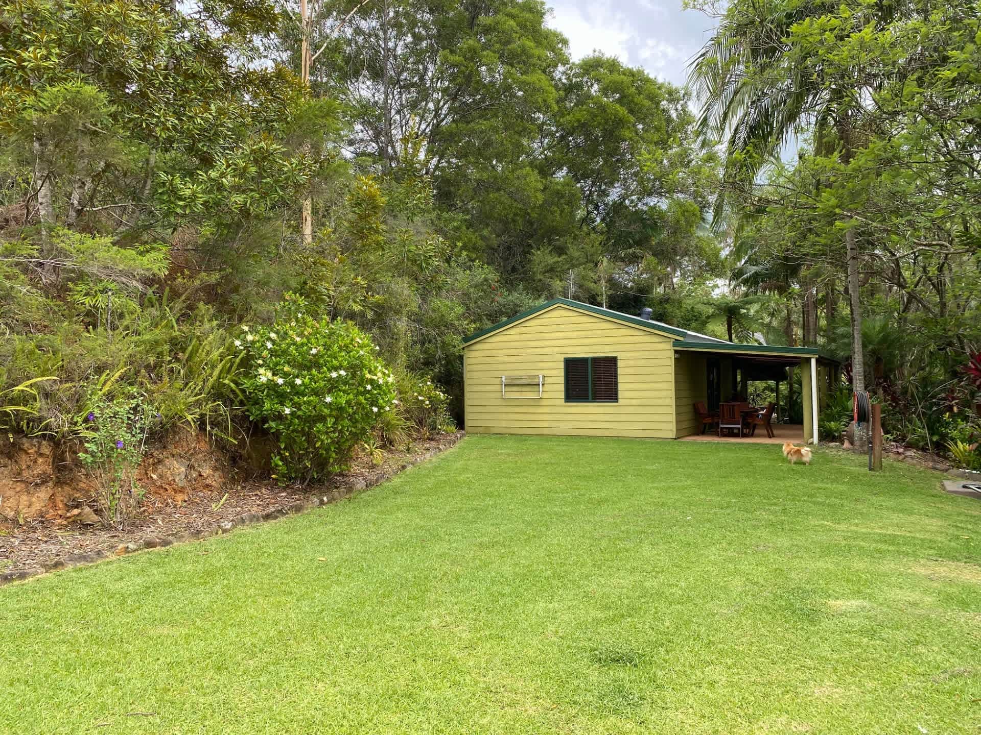 Tranquil Rainforest Cabin - Photo 2