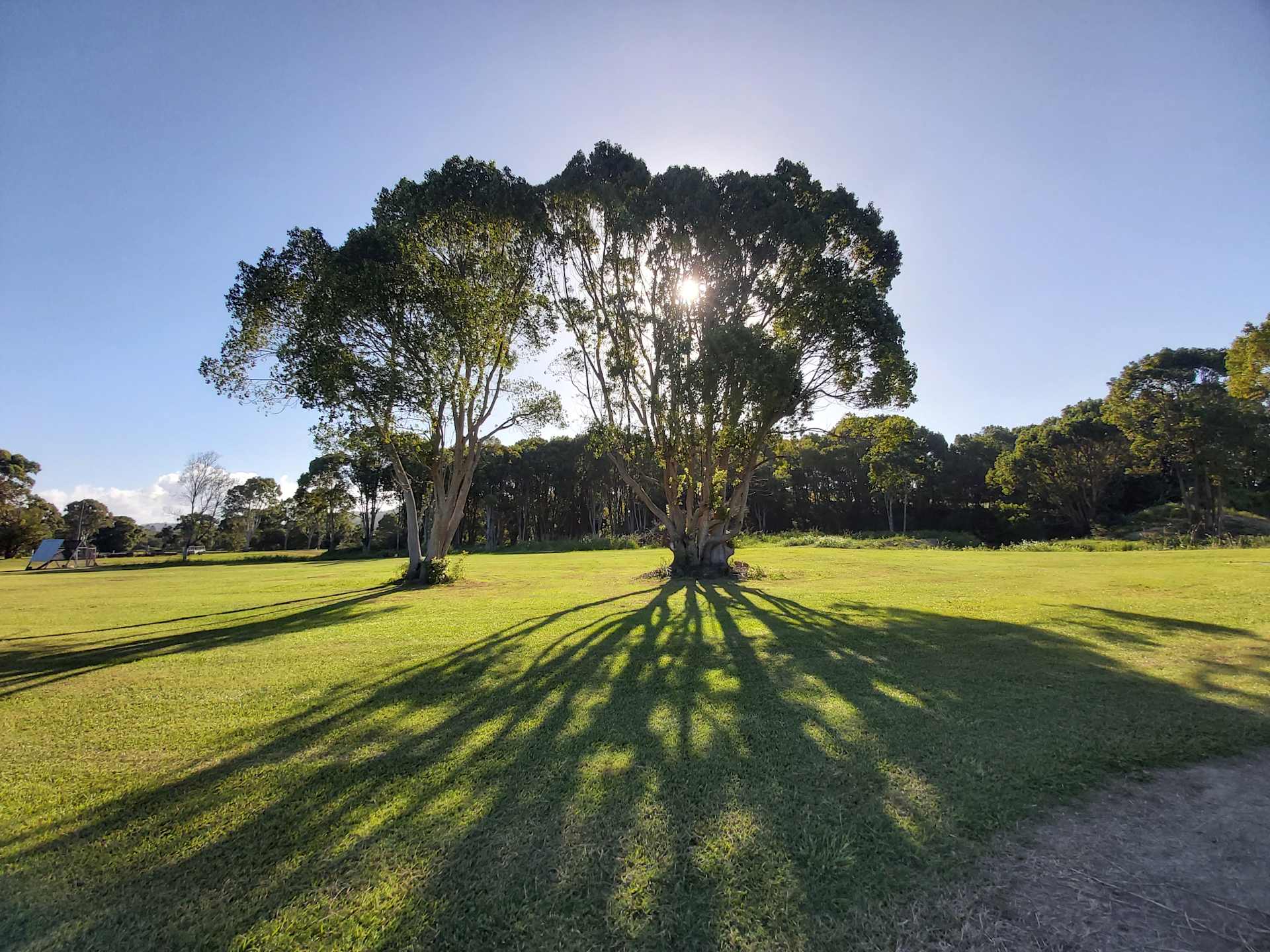 Pottsville Farm - Photo 3