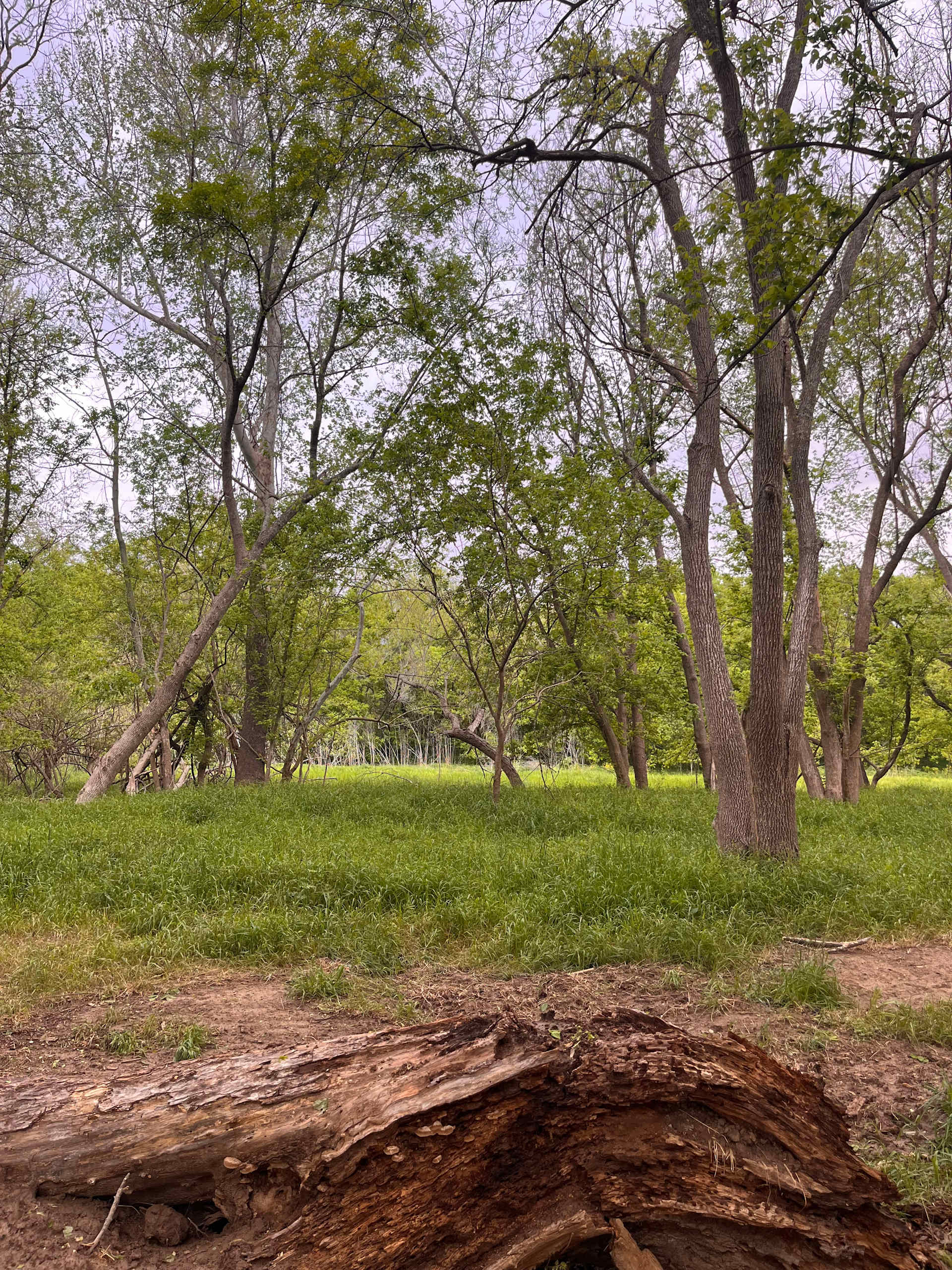 Sacred Gaia Retreats - Photo 2