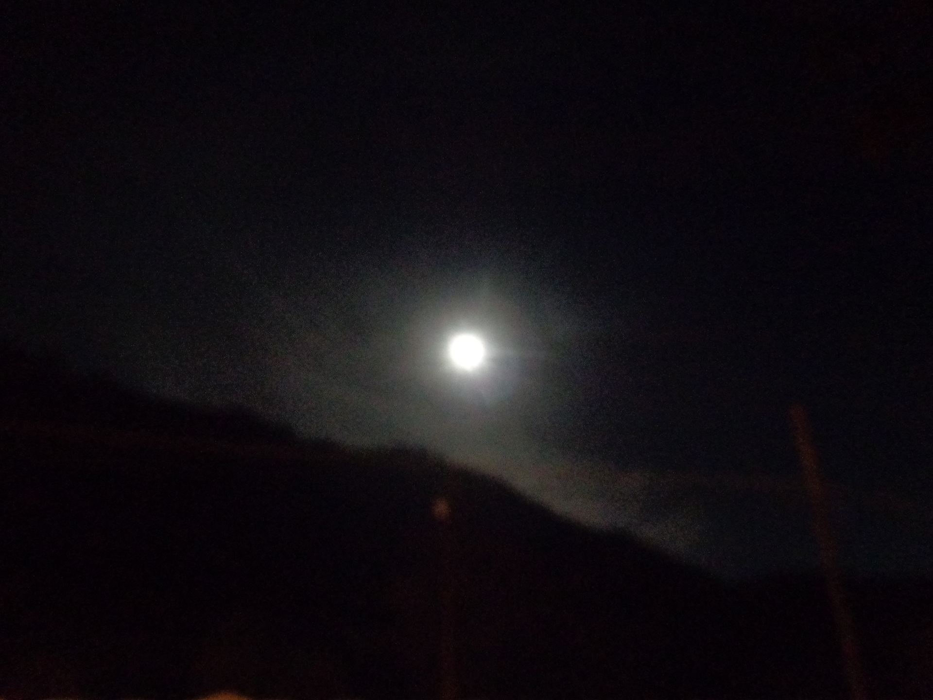 Desert Moon Ranch - Photo 2